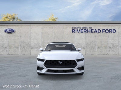 2026 Ford Mustang EcoBoost