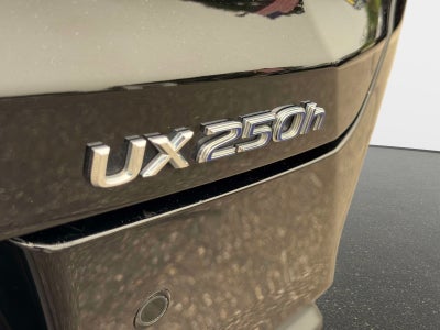 2020 Lexus UX 250h F SPORT