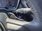 2023 Toyota Corolla Hatchback SE
